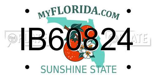 IB60824 Florida License Plate