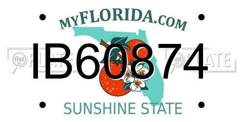 IB60874 Florida License Plate