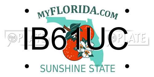 IB61UC Florida License Plate