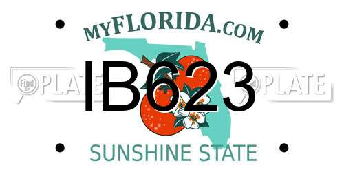 IB623 Florida License Plate