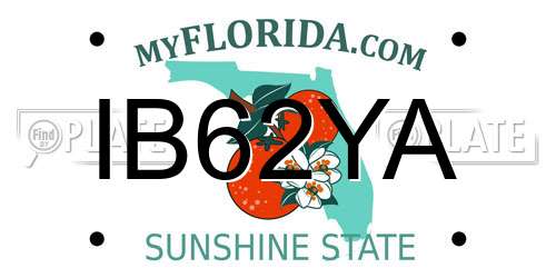 IB62YA Florida License Plate