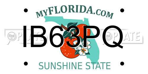 IB63PQ Florida License Plate