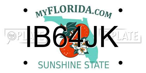 IB64JK Florida License Plate