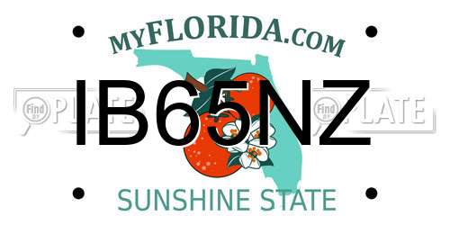 IB65NZ Florida License Plate