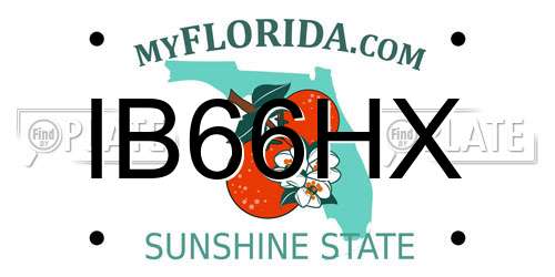 IB66HX Florida License Plate