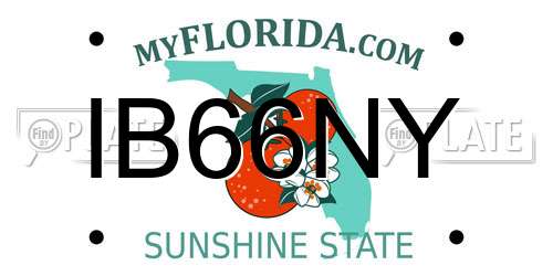 IB66NY Florida License Plate