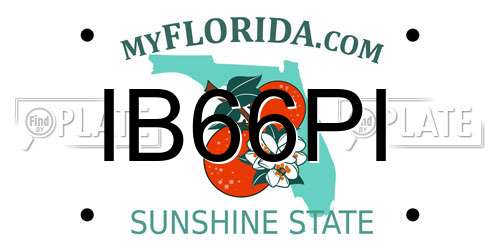 IB66PI Florida License Plate