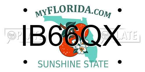 IB66QX Florida License Plate