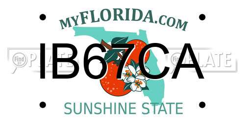 IB67CA Florida License Plate