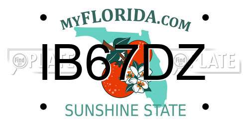 IB67DZ Florida License Plate