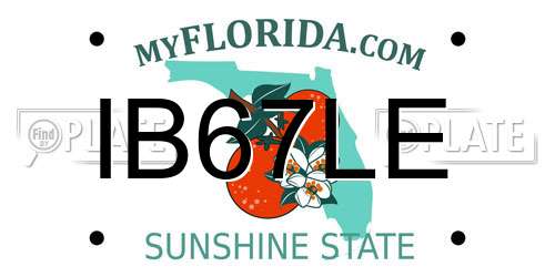 IB67LE Florida License Plate