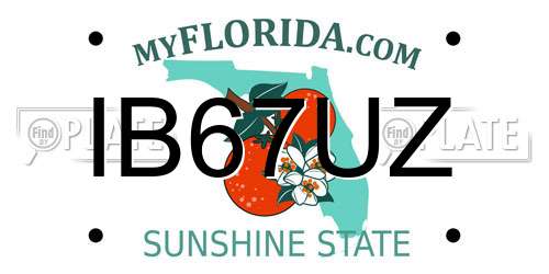 IB67UZ Florida License Plate