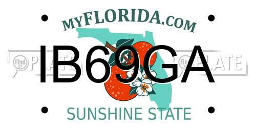 IB69GA Florida License Plate