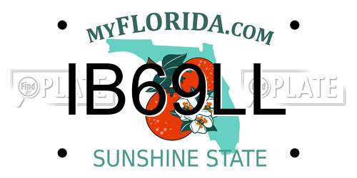 IB69LL Florida License Plate