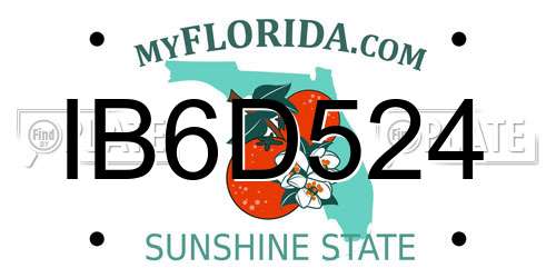 IB6D524 Florida License Plate