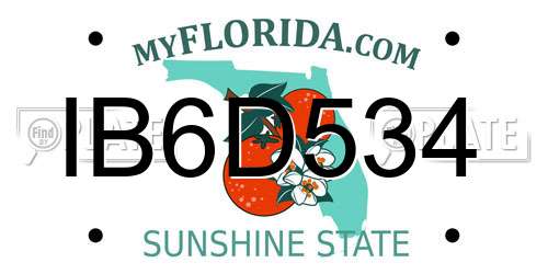 IB6D534 Florida License Plate