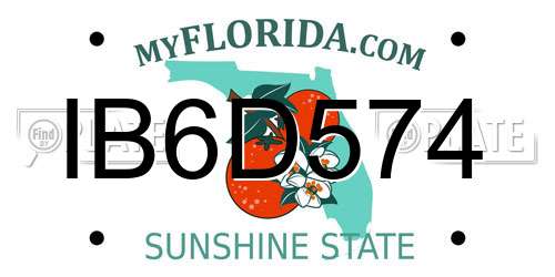 IB6D574 Florida License Plate