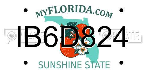 IB6D824 Florida License Plate