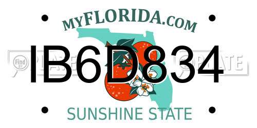 IB6D834 Florida License Plate