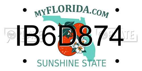 IB6D874 Florida License Plate