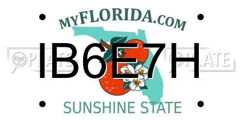 IB6E7H Florida License Plate