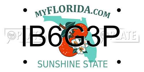 IB6G3P Florida License Plate