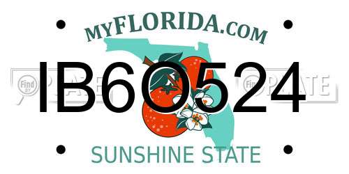 IB6O524 Florida License Plate