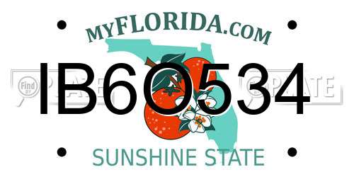 IB6O534 Florida License Plate