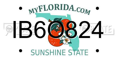 IB6O824 Florida License Plate