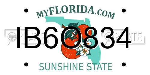 IB6O834 Florida License Plate