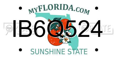 IB6Q524 Florida License Plate