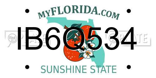 IB6Q534 Florida License Plate