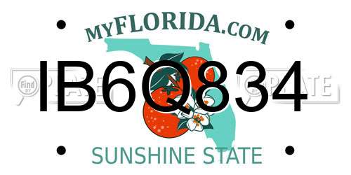 IB6Q834 Florida License Plate