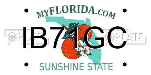 IB71GC Florida License Plate