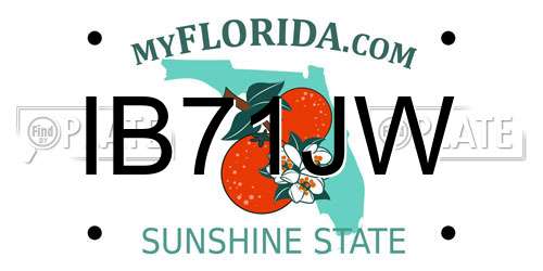 IB71JW Florida License Plate