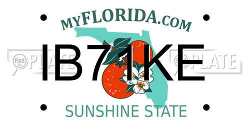 IB71KE Florida License Plate