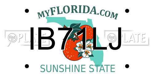 IB71LJ Florida License Plate