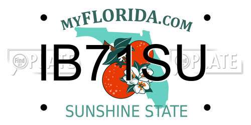 IB71SU Florida License Plate