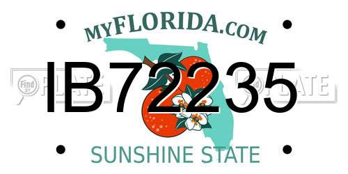 IB72235 Florida License Plate