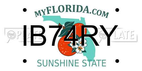 IB74RY Florida License Plate