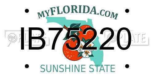 IB75220 Florida License Plate