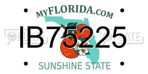 IB75225 Florida License Plate