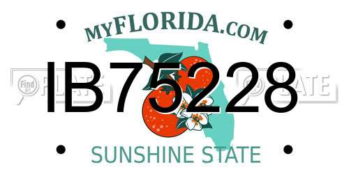 IB75228 Florida License Plate