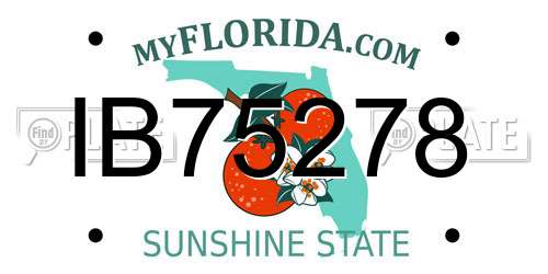 IB75278 Florida License Plate