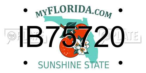 IB75720 Florida License Plate