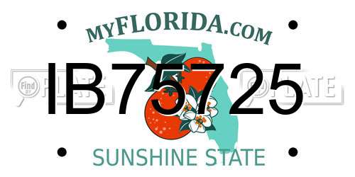 IB75725 Florida License Plate