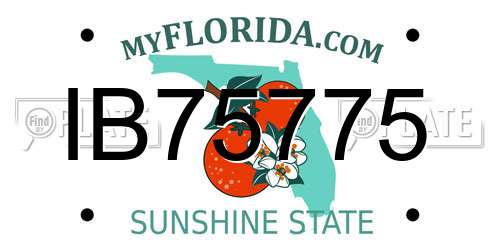 IB75775 Florida License Plate