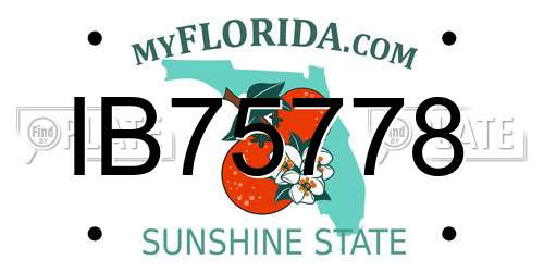IB75778 Florida License Plate