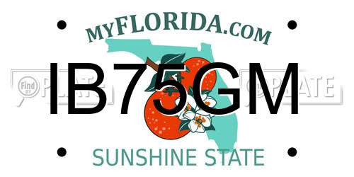 IB75GM Florida License Plate