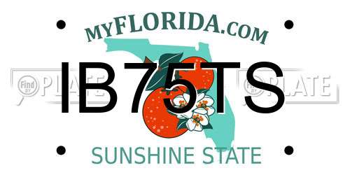 IB75TS Florida License Plate